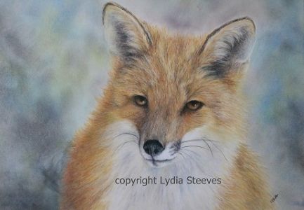 Madoc Video Class CP Online Class